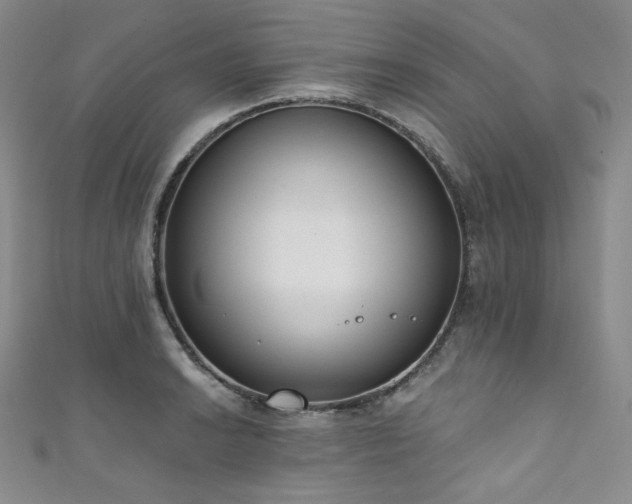 X0000111891038200907231552