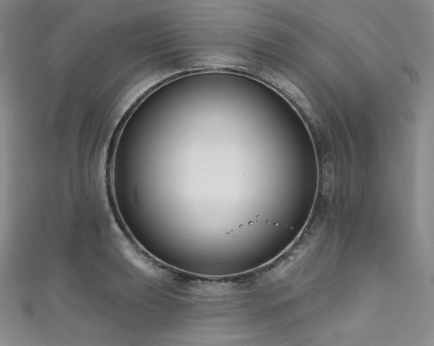 X0000111891039200907231552
