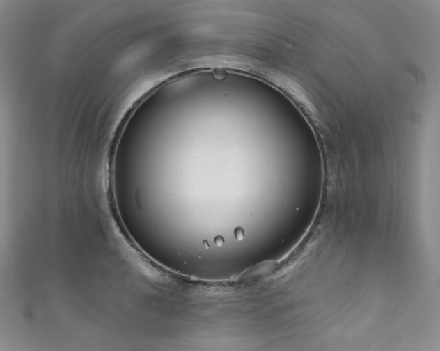 X0000111891040200907231552
