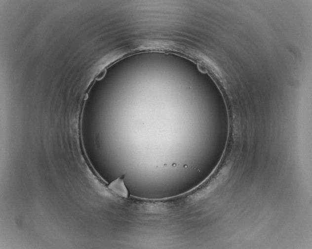 X0000111891041200907231552