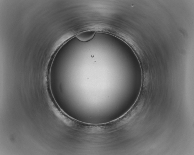 X0000111891042200907231552