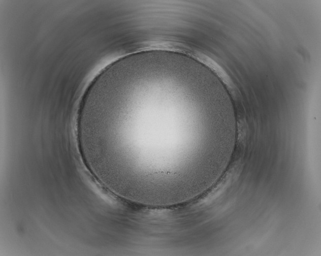 X0000111891043200907231552