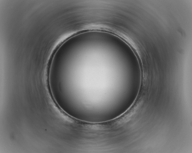 X0000111891045200907231552