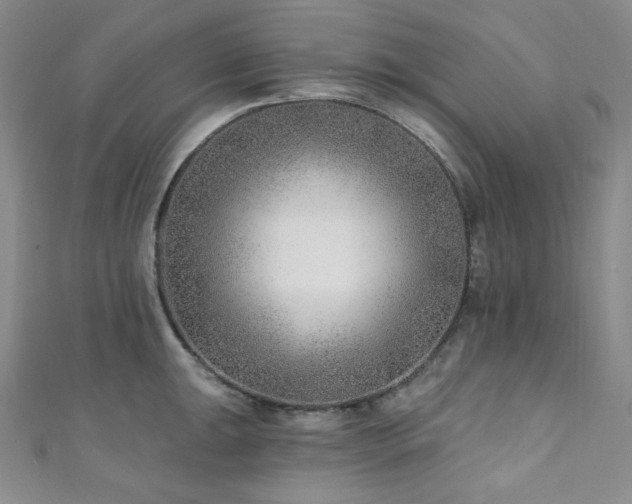 X0000111891047200907231552