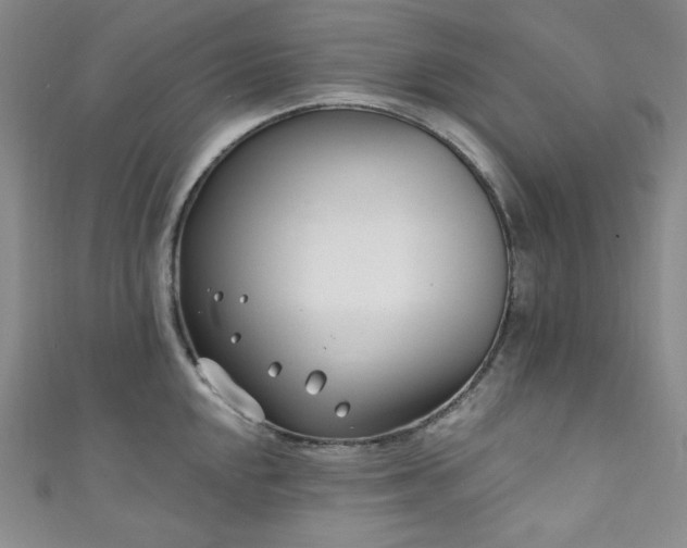 X0000111891048200907231552