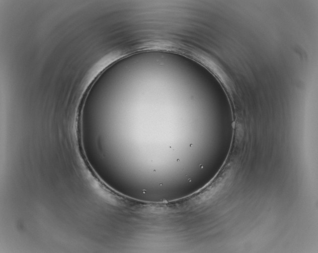 X0000111891050200907231552