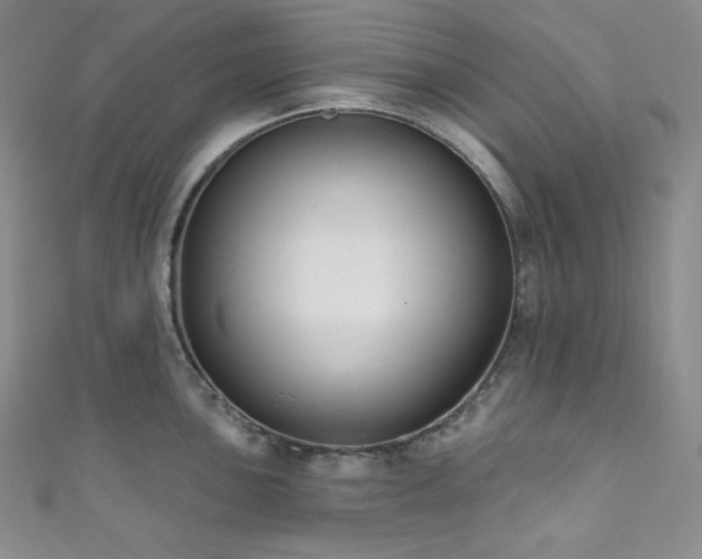 X0000111891051200907231552