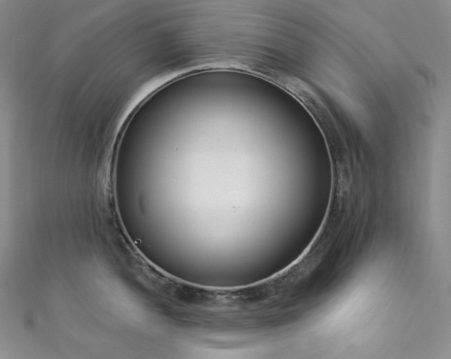 X0000111891052200907231552