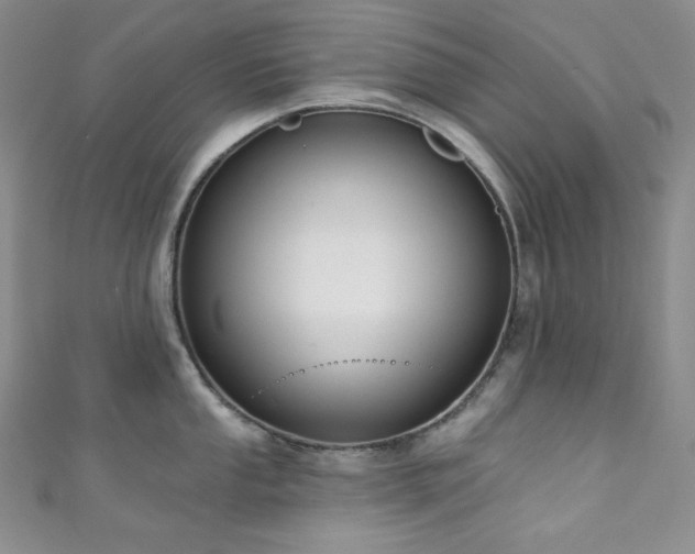 X0000111891053200907231552