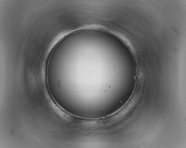X0000111891054200907231552