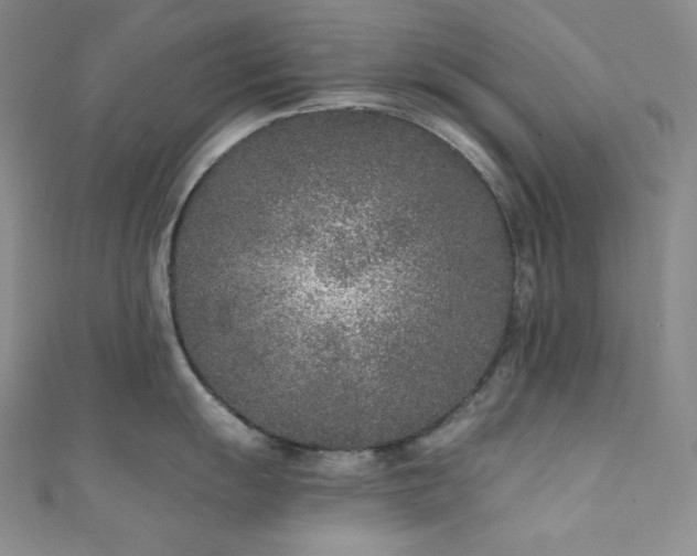 X0000111891055200907231552