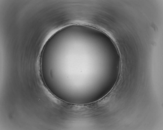 X0000111891056200907231552