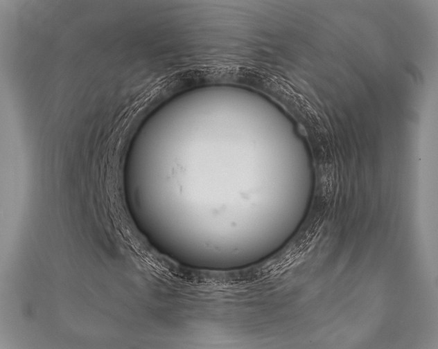 X0000111891057200907231551