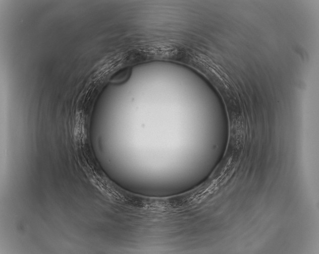 X0000111891058200907231551