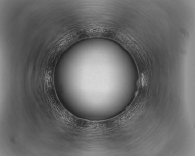 X0000111891059200907231551