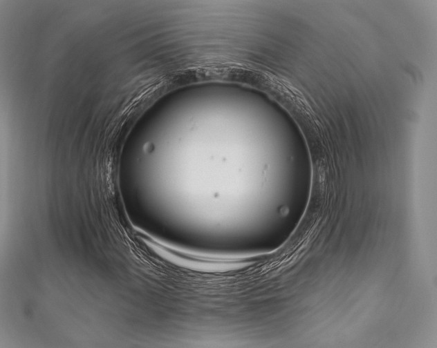 X0000111891060200907231551