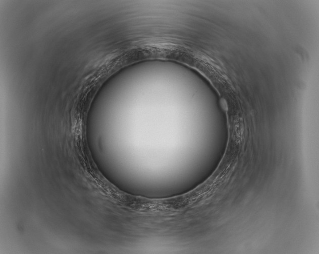 X0000111891061200907231551