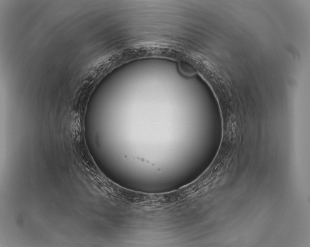 X0000111891062200907231551