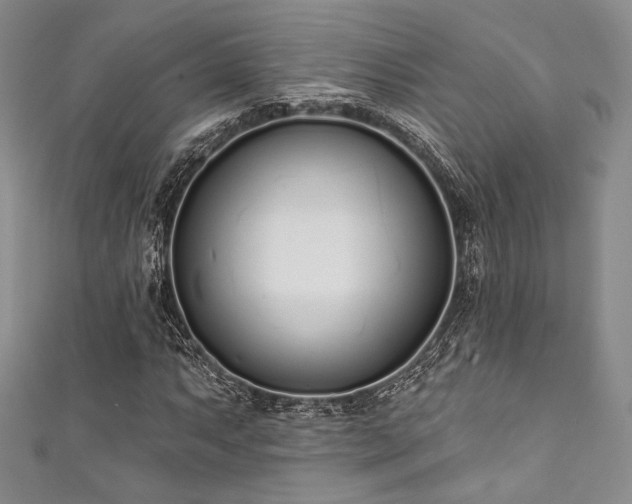 X0000111891063200907231551
