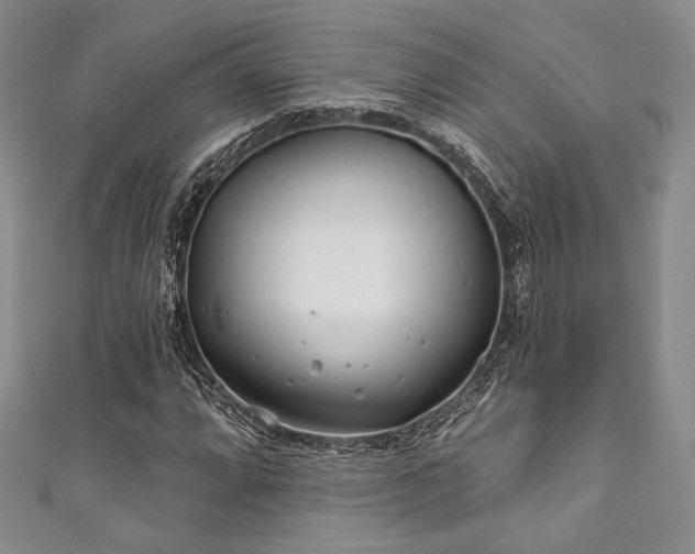 X0000111891064200907231551