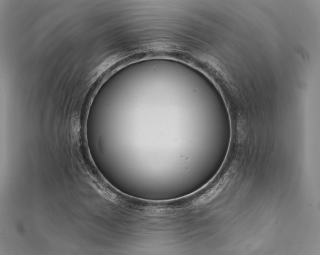 X0000111891065200907231551