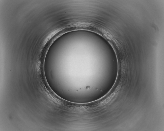 X0000111891066200907231551