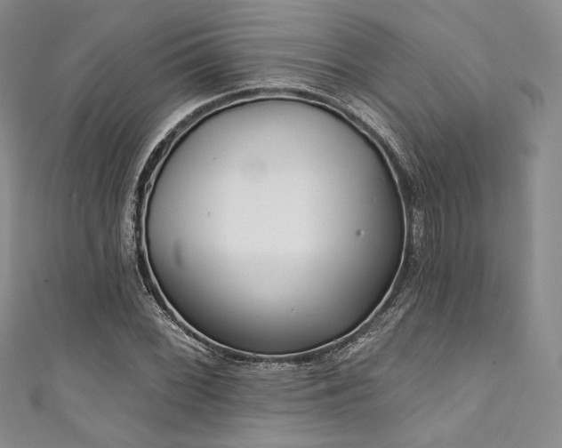 X0000111891068200907231551