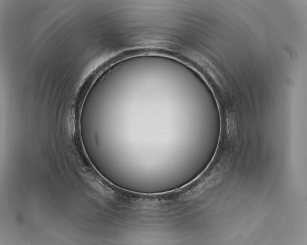 X0000111891069200907231551