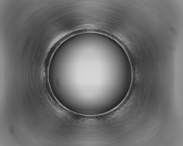 X0000111891070200907231551