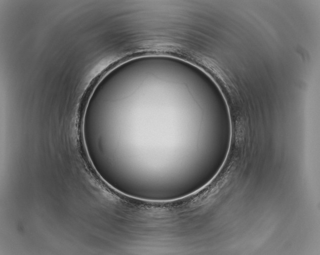 X0000111891071200907231551