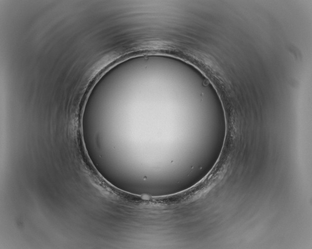 X0000111891073200907231551