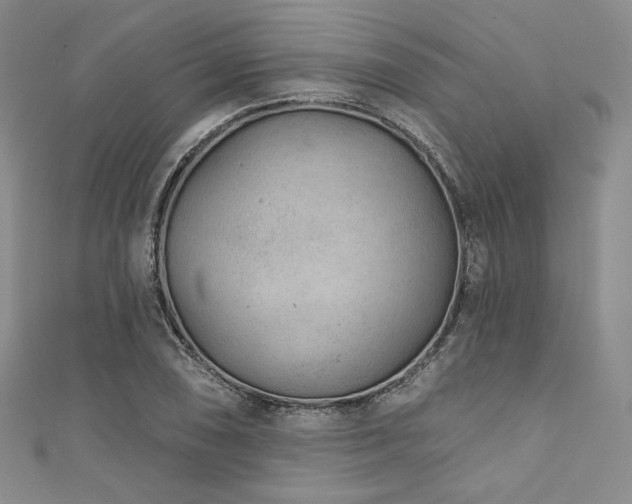 X0000111891074200907231551
