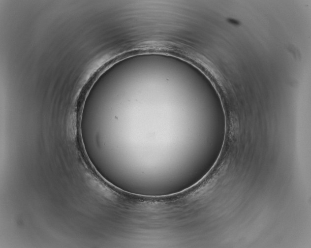X0000111891075200907231551