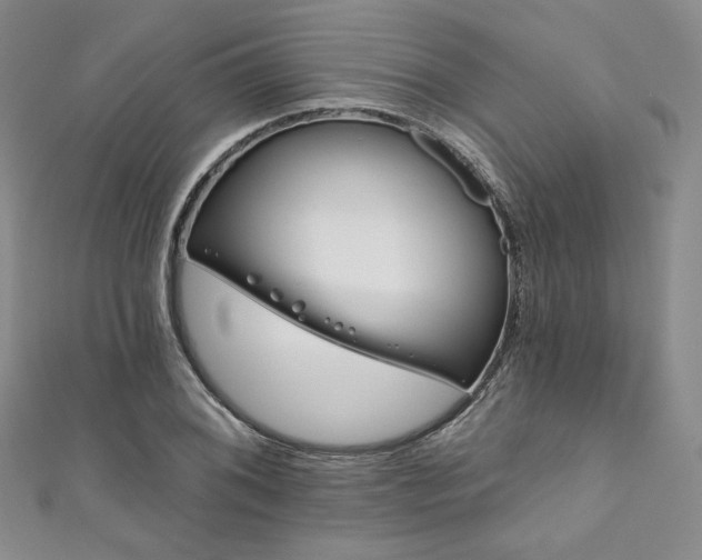 X0000111891076200907231551