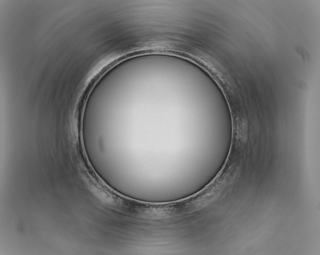 X0000111891078200907231551