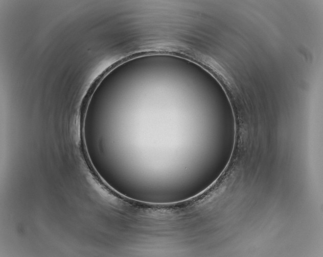 X0000111891079200907231551