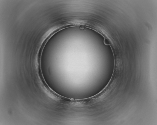 X0000111891082200907231551