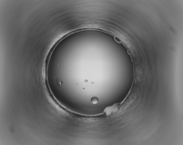 X0000111891084200907231551