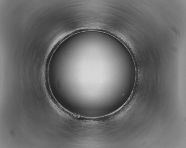 X0000111891085200907231551