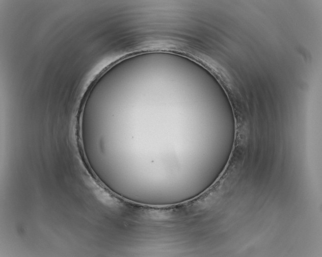 X0000111891086200907231551