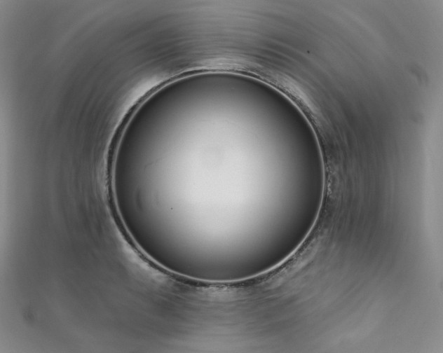 X0000111891087200907231551