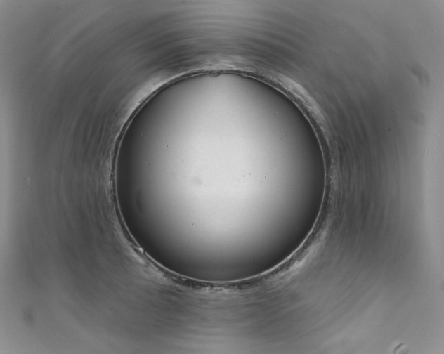 X0000111891089200907231551