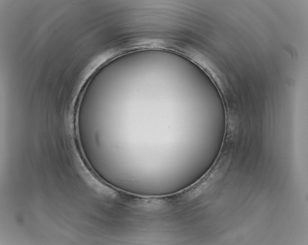 X0000111891090200907231551