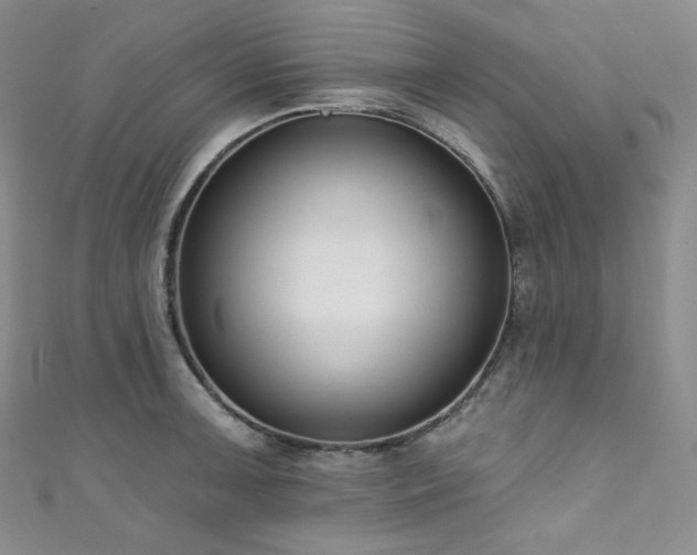 X0000111891091200907231551