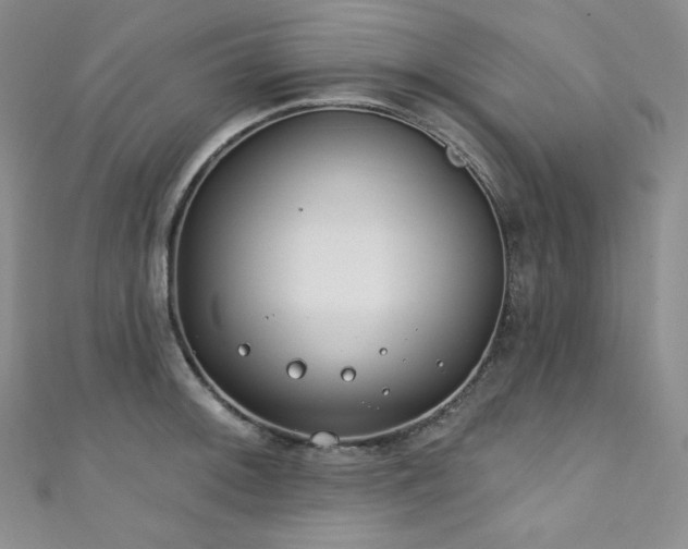 X0000111891092200907231551