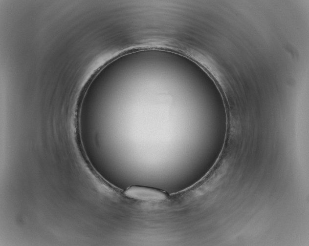 X0000111891093200907231551