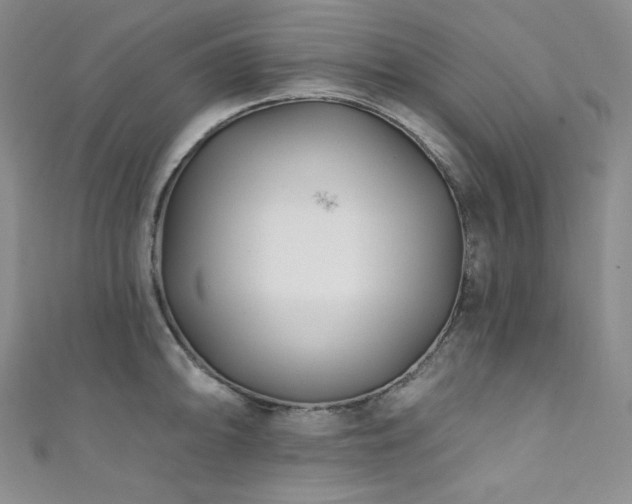 X0000111891094200907231551