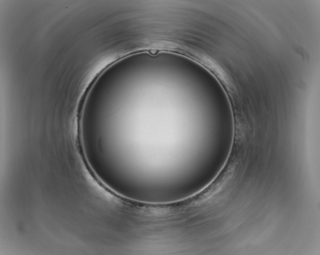 X0000111891095200907231551