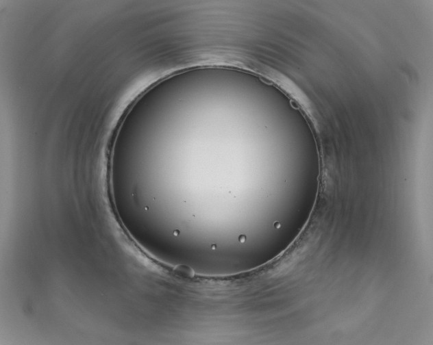 X0000111891096200907231551