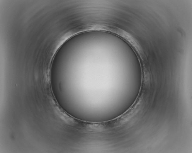 X0000111891097200907231551
